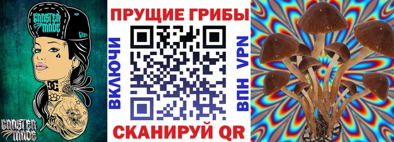 Галлюциногенные грибы прущие грибы Раменское