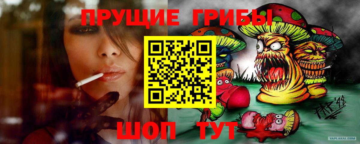 Псилоцибиновые грибы GOLDEN TEACHER  наркотики  Раменское  Вход с VPN 