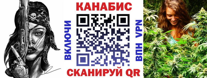 Конопля сатива  Раменское 
